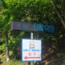 포레스트카라반파크 이미지
