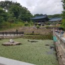 가을을 품은 민화 | [한국전통문화-낙산사]동해 절경 따라 걷는 길, 마음이 쉬어가는 곳