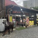 대전식육식당 이미지