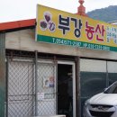 주흘상회
