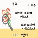 얌모얌모 인문학 이미지