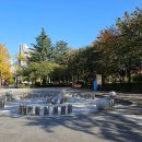 까치공원 바닥분수 이미지