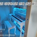 비인피아노교습소