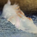 영일대궁 이미지