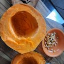 (마감)토종단호박 이미지