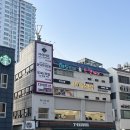[대구/반월당미용실] 봄라이트톤의 초코브라운 염색 후기, 기고헤어