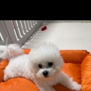 미통세탁 이미지