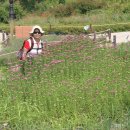 한밭수목원 서원 이미지