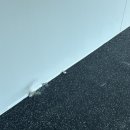 리커버리427 이미지