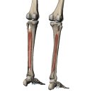 안녕피티 이미지