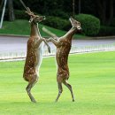 [ 선거철과 정치인 기업 때리기, 기업에게 필요한 건 자율적 시장경제(최승노) + 경제민주화 관련 기사 5 ] 이미지