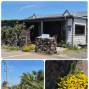 수수꽃담 이미지