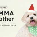 도그어스플래닛 이미지