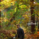 수가 | 영화 <어쩔 수가 없다> 후기｜박찬욱 감독이 다시 꺼내든 가장 현실적인 공포