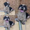 선산대로-53 이미지