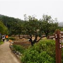 봉하마을 공영주차장　 이미지