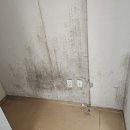 서울 관악구 신림동 서원동 시원동 서림동 신사동 인테리어 리모델링 업체 나만 알고 싶은 정인테리어 후기