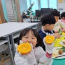 소태초등학교 이미지