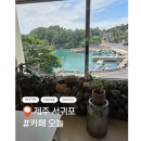 굿잡제주 | 서귀포 바다를 담은 카페 오놀 방문기