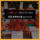 미선네과일
