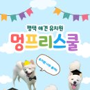 멍프리스쿨 이미지