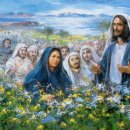 2013년 9월 20일 연중 제24주간 금요일 이미지