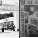 태백방역공사 이미지