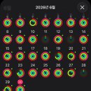 임신 중기 27·28주차 후기, 마지막 회사 일정, 산전운동, 입체초음파, 휴직원 제출까지