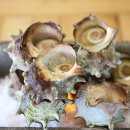 해와달그리고섬 이미지