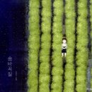 읽go쓰go 독서논술 | [그림책문해력] 6.25전쟁 그림책 &#39;숨바꼭질&#39; 초등 독서일기 독후활동