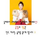 살롱드봄봄 이미지
