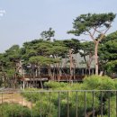 나무로스터리카페 이미지