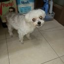 신일산동물병원 이미지