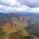 간석시장앞 버스정류장 이미지