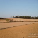 일등농장 이미지