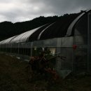 토고미농장 이미지