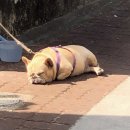 락휴 코인 노래연습장 홍대점 이미지