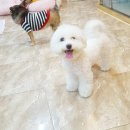 잠실준25시 동물병원 이미지