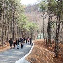 출렁다리 공중화장실 이미지