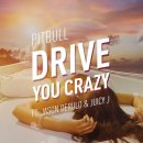Pitbull Feat. Jason Derulo & Juicy J (핏불 & 제이슨 데룰로 & 쥬시제이) Drive You Crazy 이미지