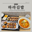 [여의도] 건강하고 맛있는 한끼 먹고싶을 땐 속재료 가득한 하라김밥