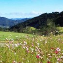 일레븐CC 이미지