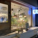 수플라워 | 반포 식물이 많은 꽃집 나무수플라워앤가든 꽃다발 후기