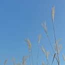 추동 호반길 이미지