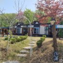 왕곡휴펜션 | 고성펜션 댕댕이와 최고의 힐링타임 왕곡휴펜션