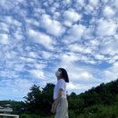 수피아돌