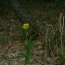 청벽가든 이미지