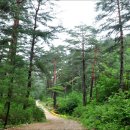 불영계곡2전망대 이미지