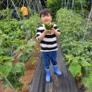 양광모농장 이미지