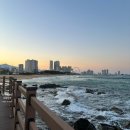 화진포 관광안내소 | [진주출발] 동해안 2박3일 코스 추천ㅣ부모님효도여행추천 (설악산, 속초, 고성)